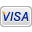 visa icon